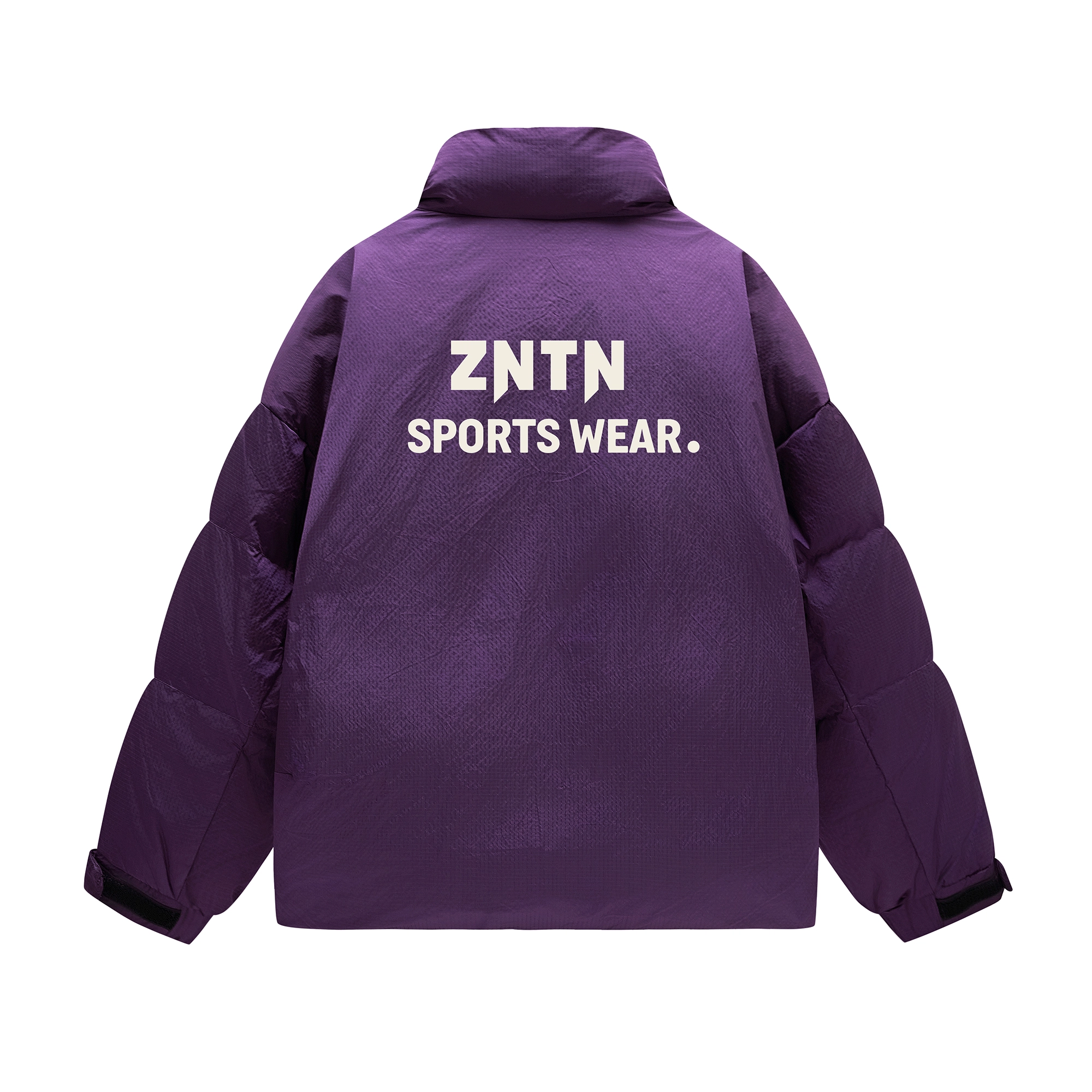 ZNTN Logo