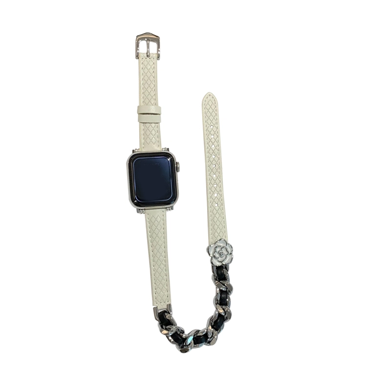 MSSM apple watch iwatchS10S987654SE123ultra12