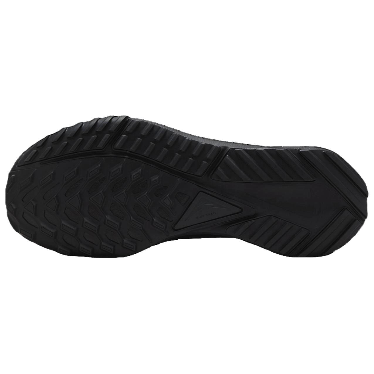 Nike Pegasus Trail 4 GTX V2