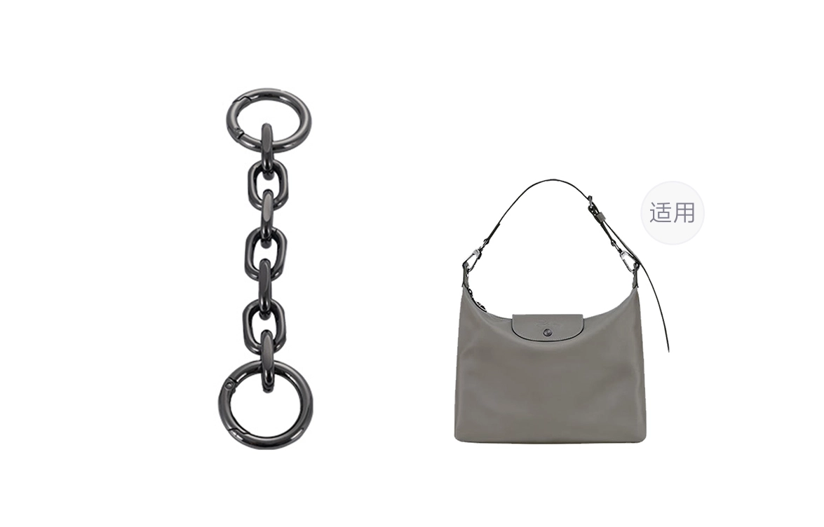 longchamp hobo
