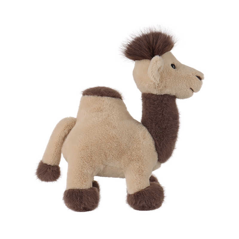 APRICOT LAMB 24cm