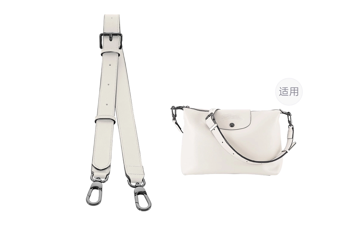 longchamp hobo