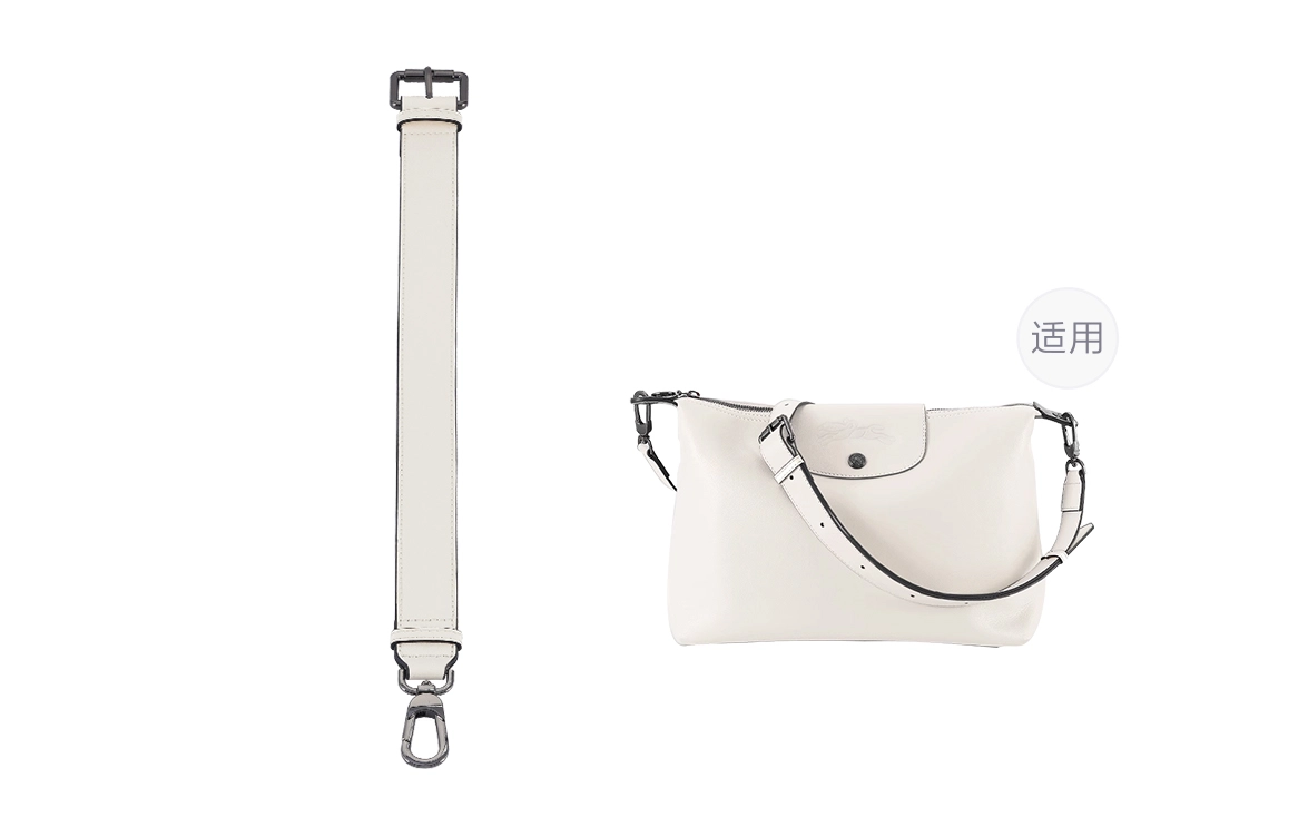 longchamp hobo