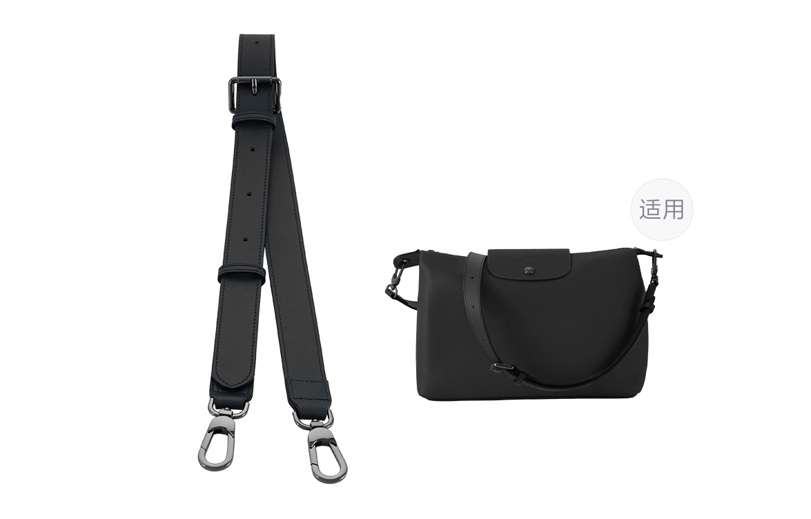 longchamp hobo