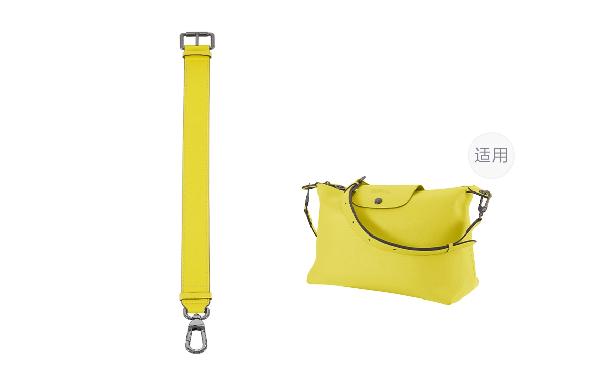 longchamp hobo