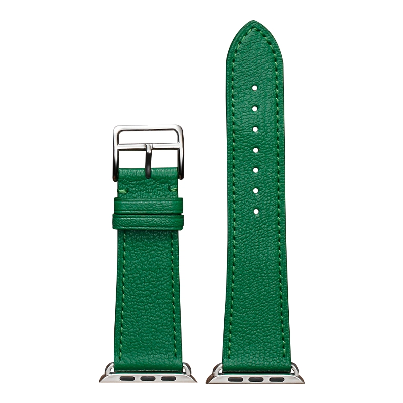 ZS apple watchiwatch9876 38-45mm 2111261