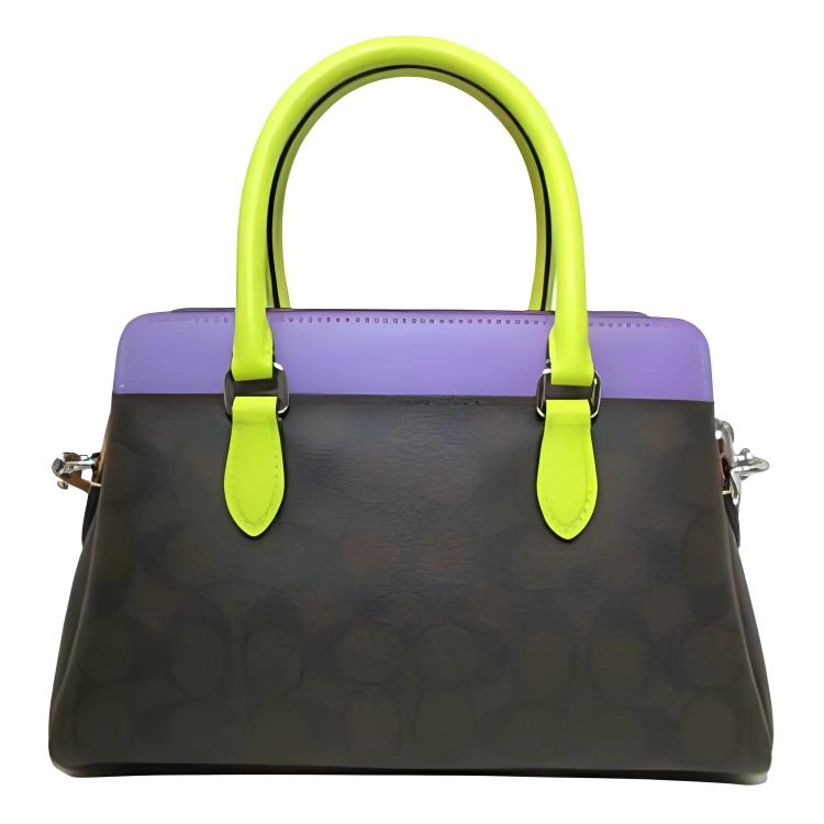 COACH Darcie 17 Logo PVC