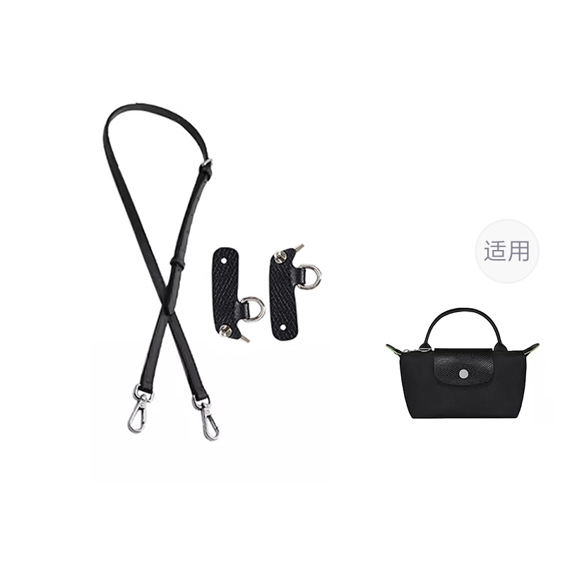 mini longchamp