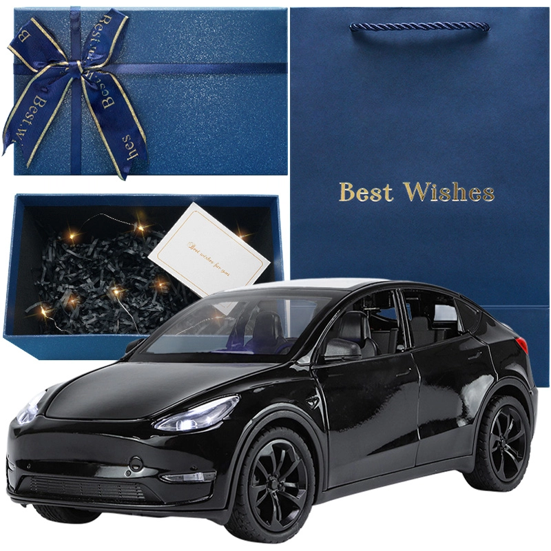 TY MODELS Model Y 124