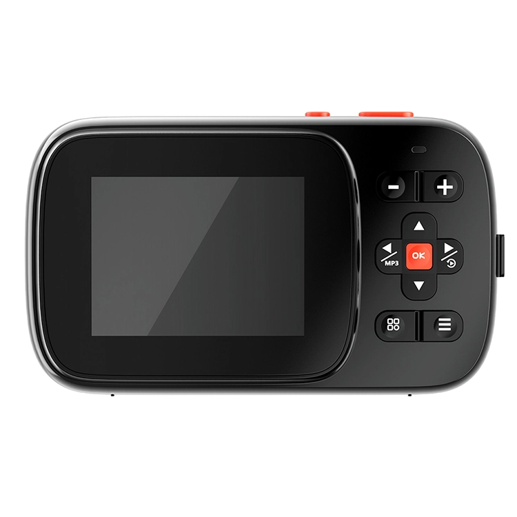HEY CAT'S DAILY 167200W MP3