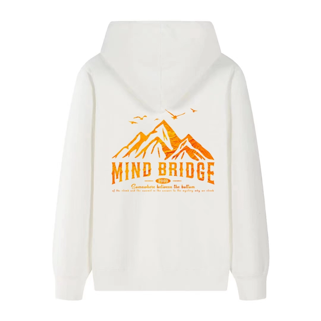MindBridge