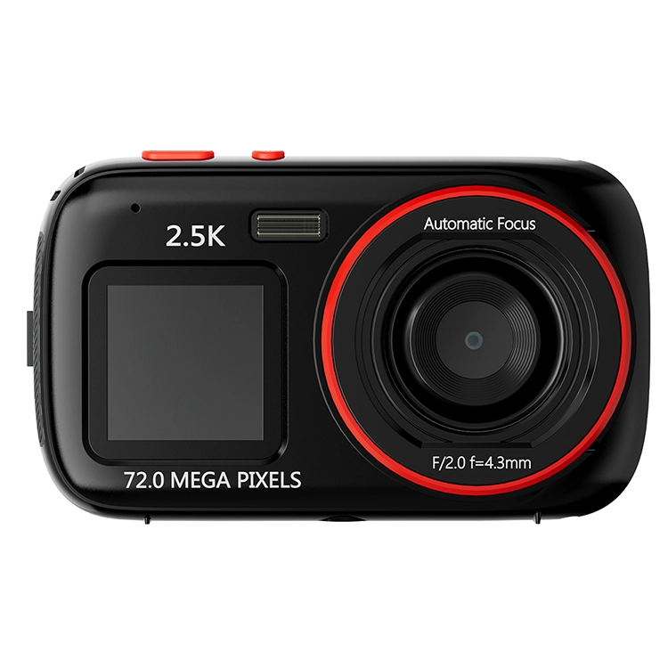 HEY CAT'S DAILY 167200W MP3
