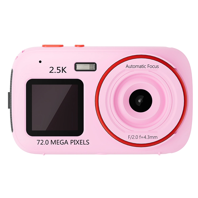 HEY CAT'S DAILY 167200W MP3