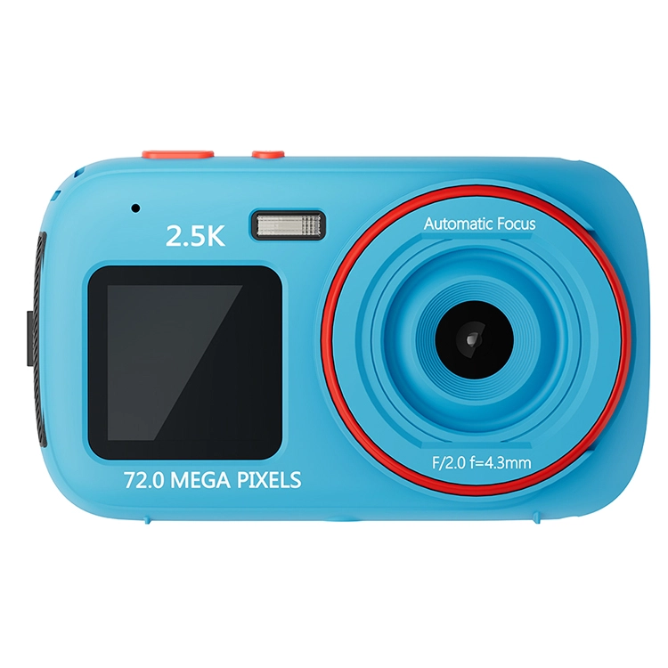 HEY CAT'S DAILY 167200W MP3
