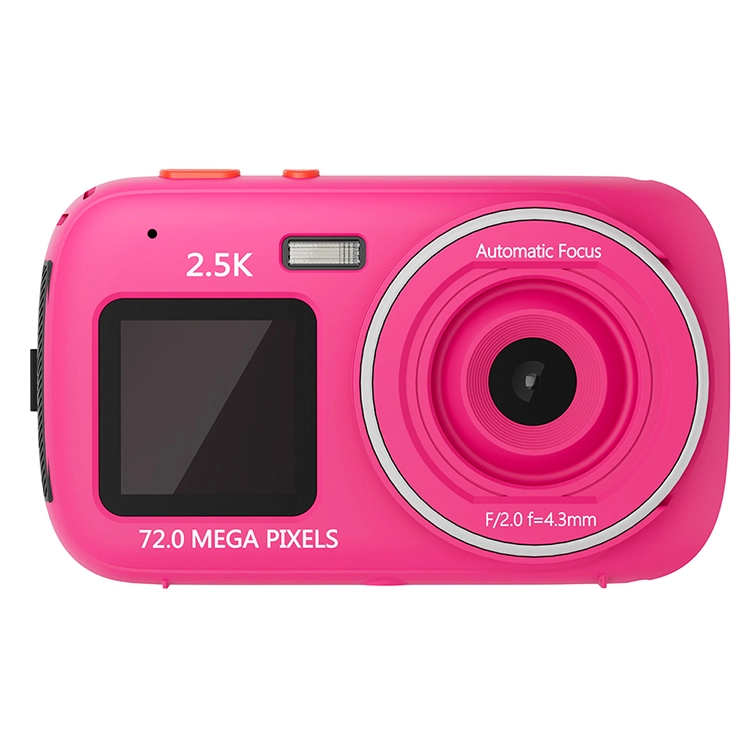 HEY CAT'S DAILY 167200W MP3