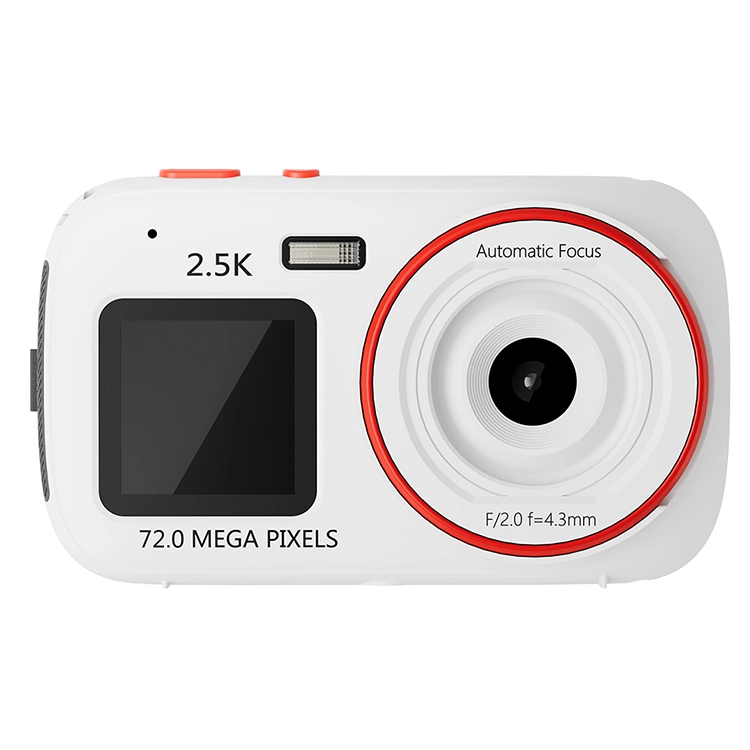HEY CAT'S DAILY 167200W MP3