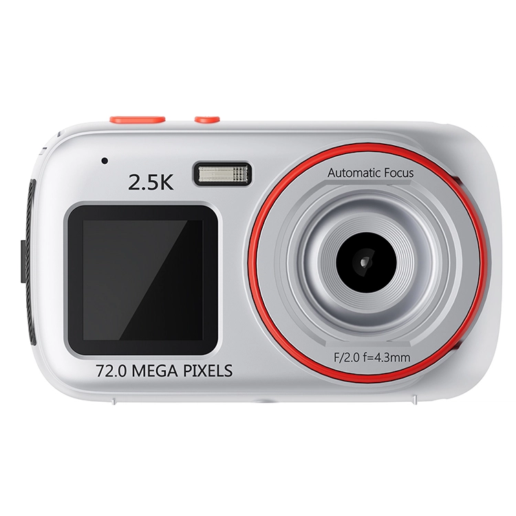 HEY CAT'S DAILY 167200W MP3
