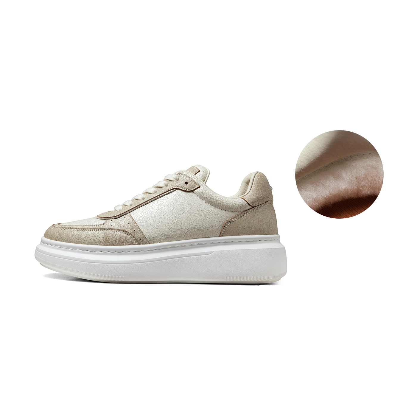 THOM WILLS Trainer