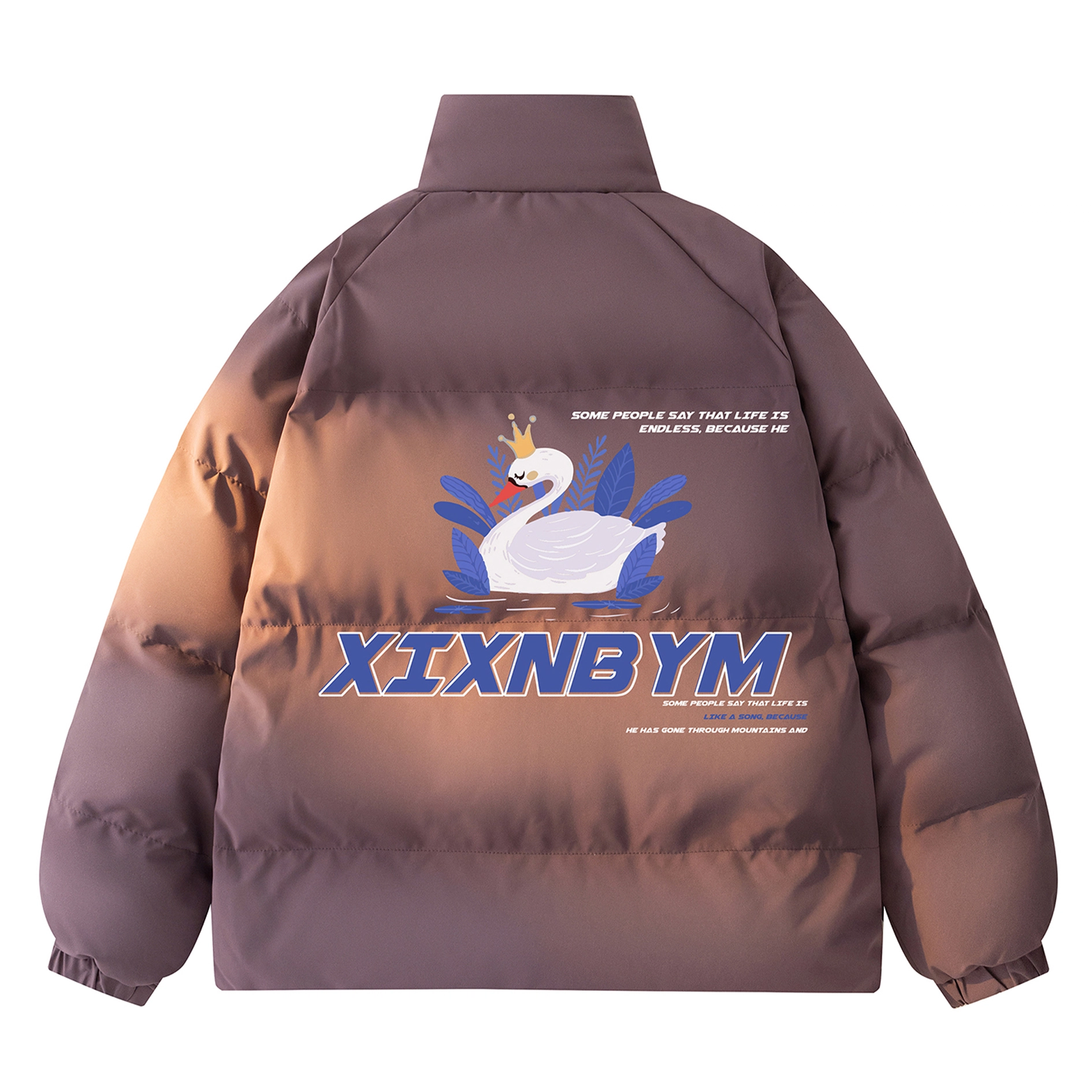 XIXN