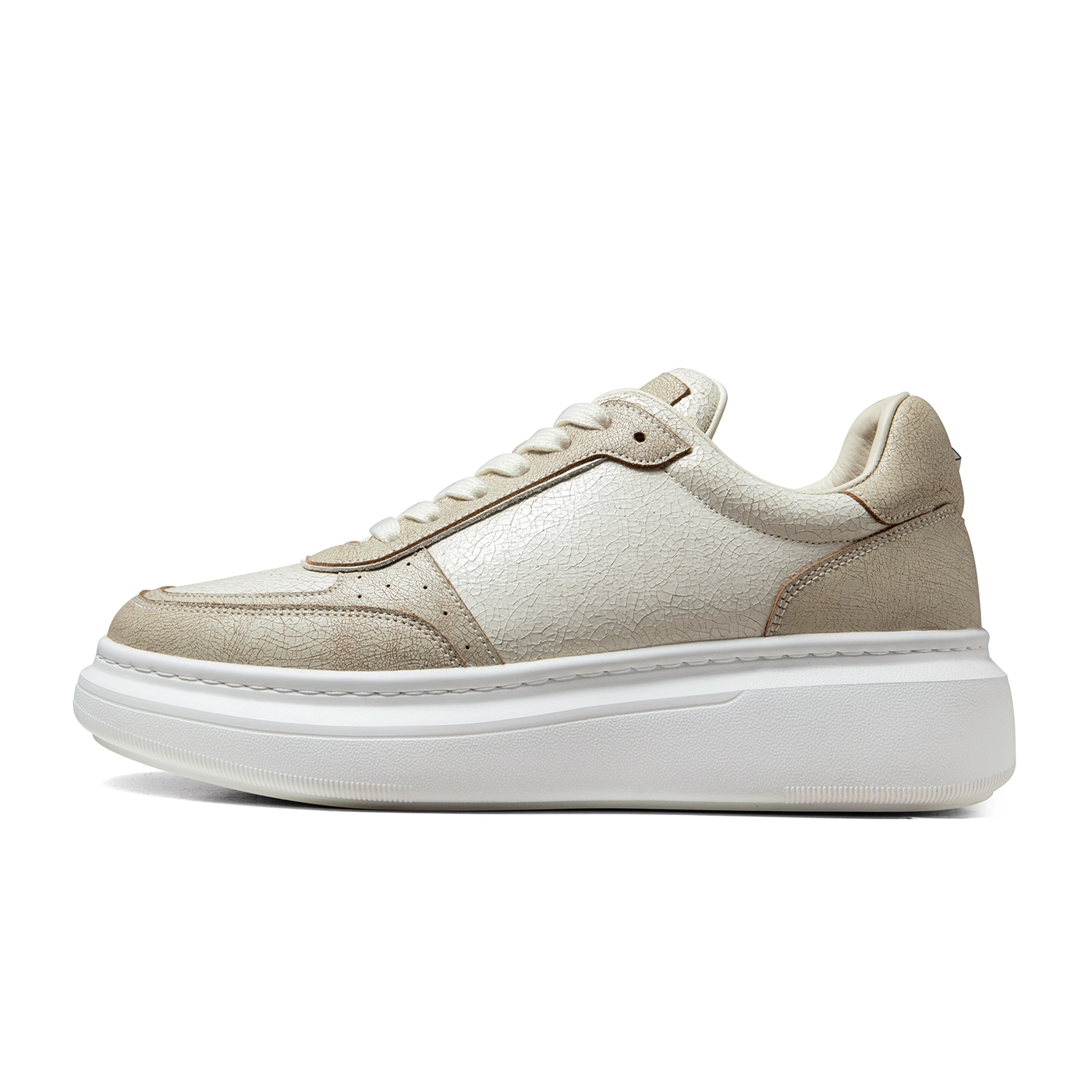 THOM WILLS Trainer