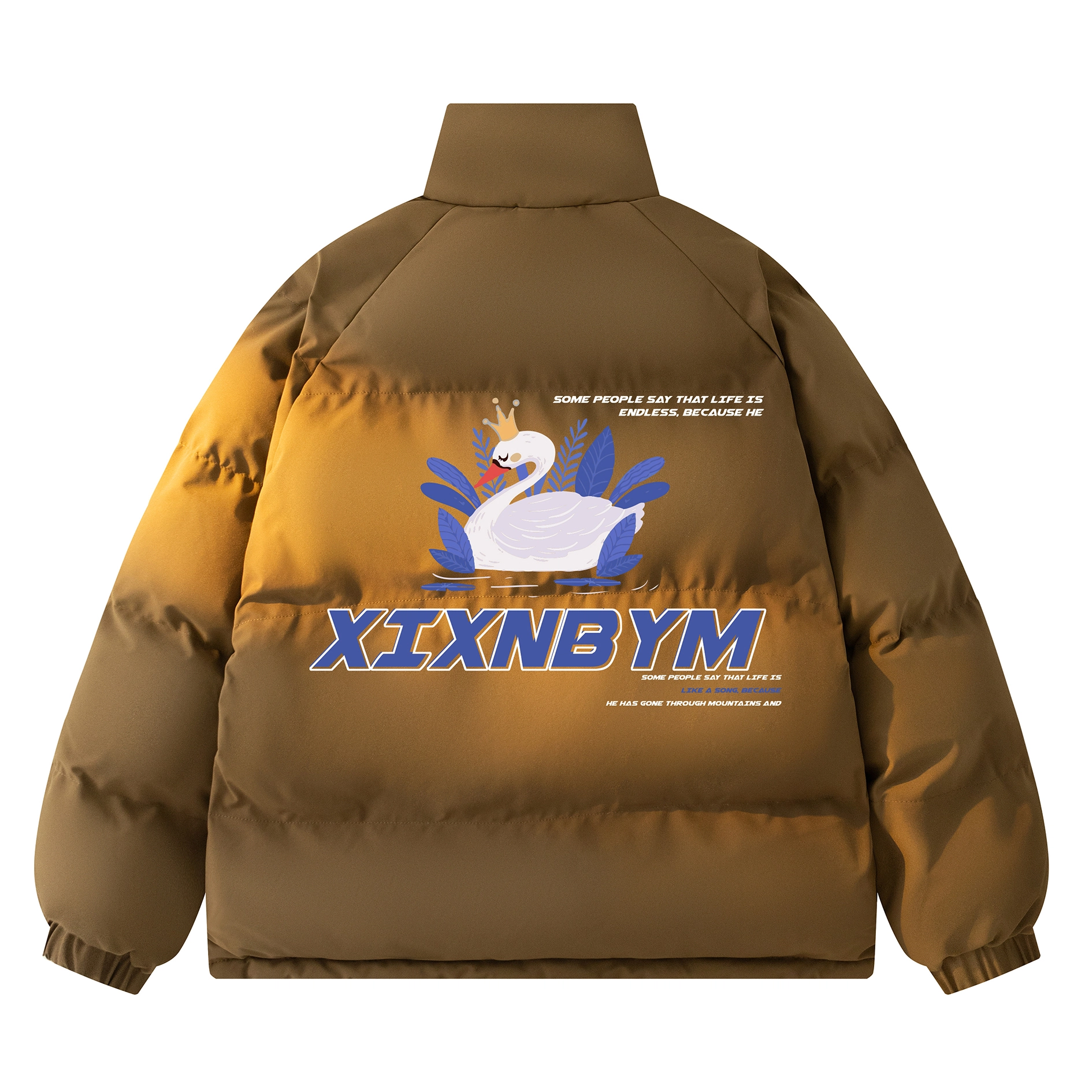 XIXN