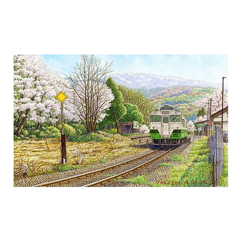3D-JP 1000pcs H3053
