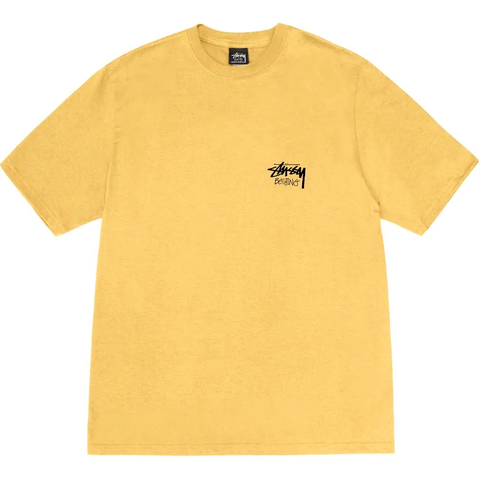 Stussy FW24 2024 T