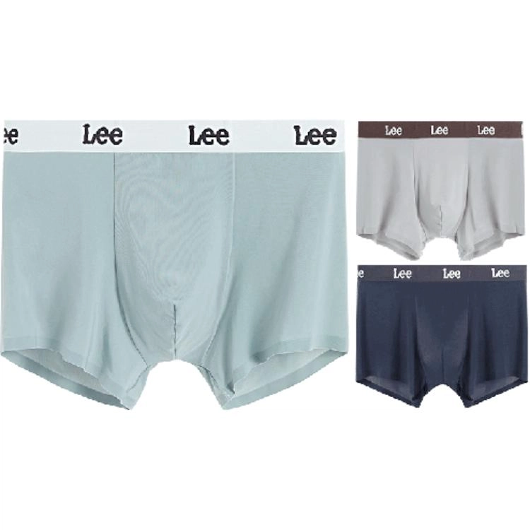 Lee 3
