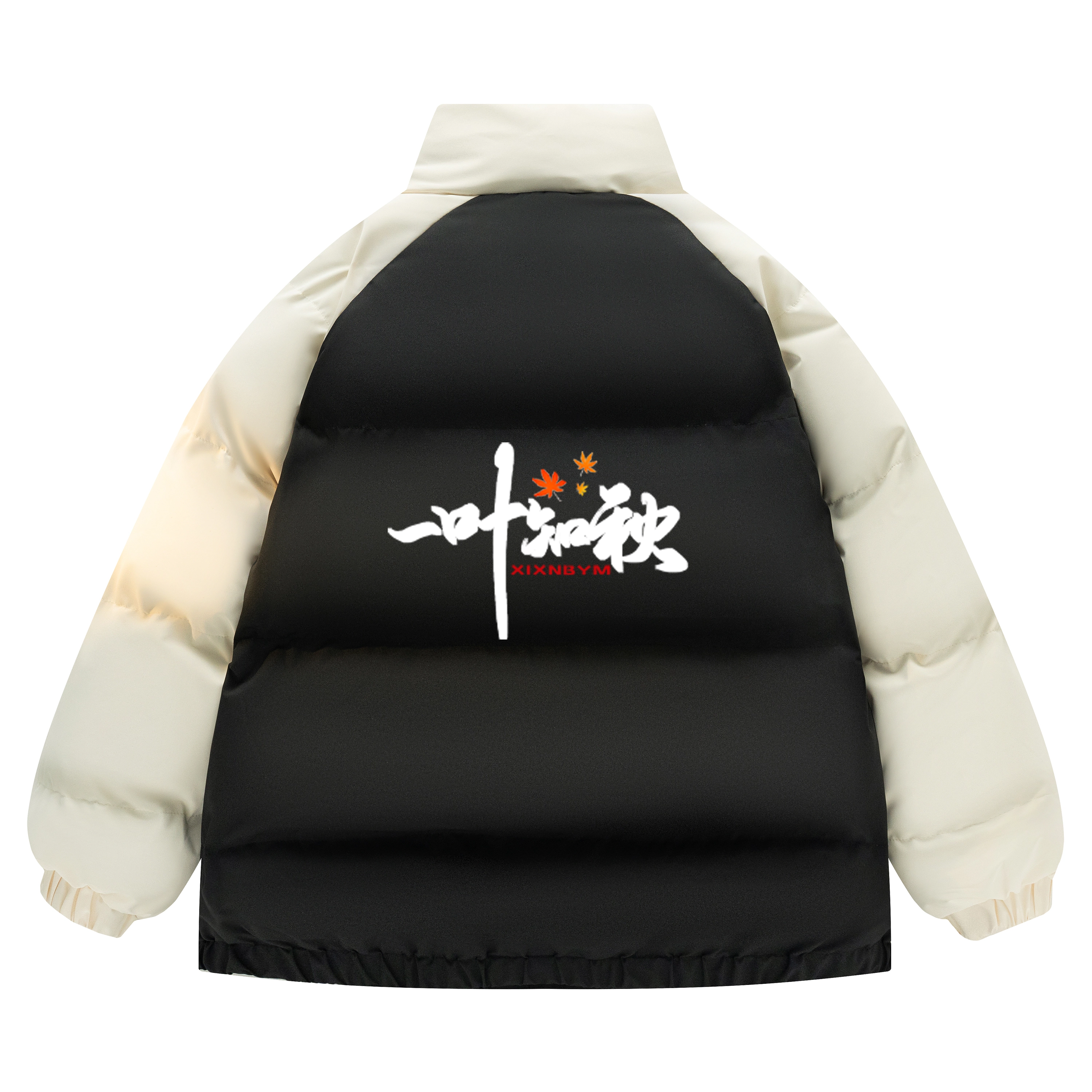 XIXN