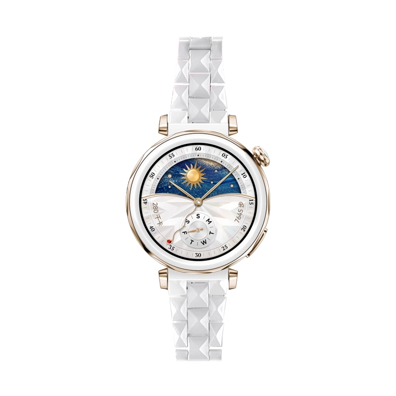 biaodaige watch4rogt5proGT5