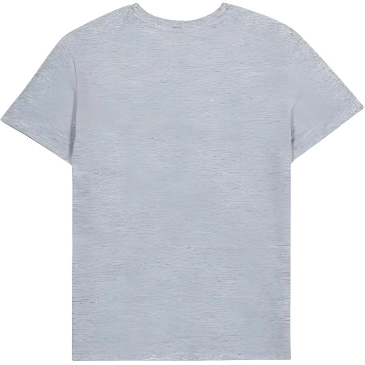 Champion FW24 T