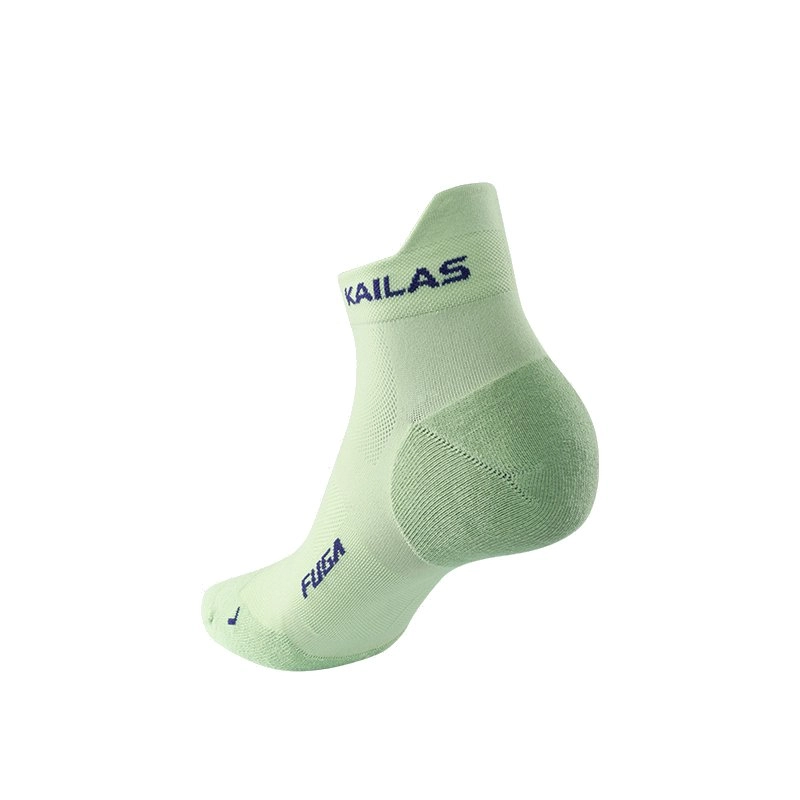 KAILAS 1