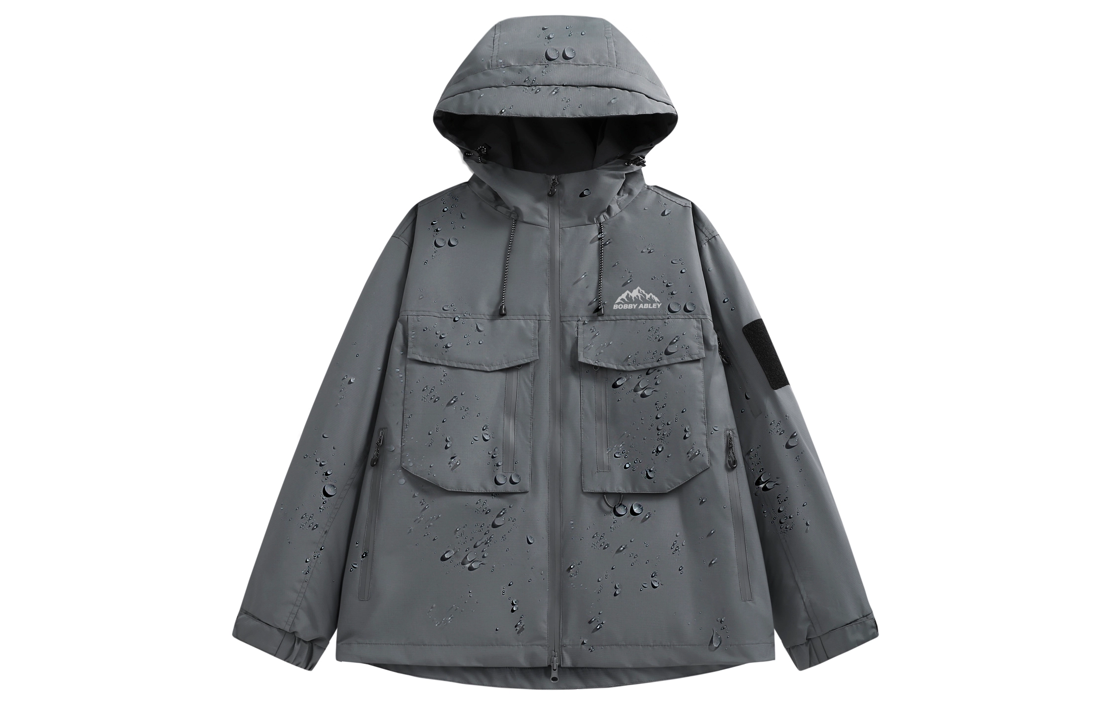 BOBBY ABLEY logo