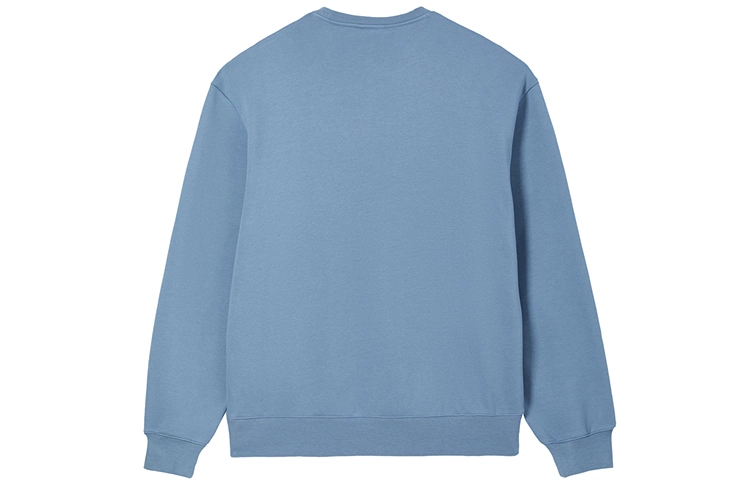 Champion FW24 c-tech Logo