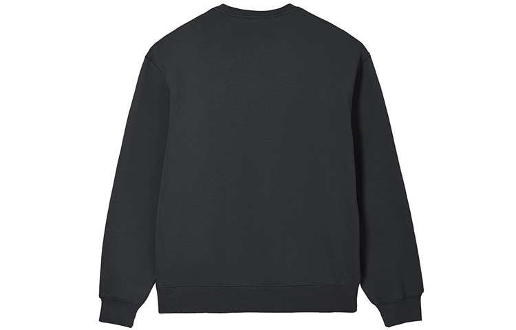 Champion FW24 c-tech Logo