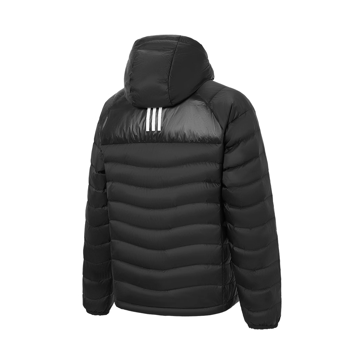 adidas FW24