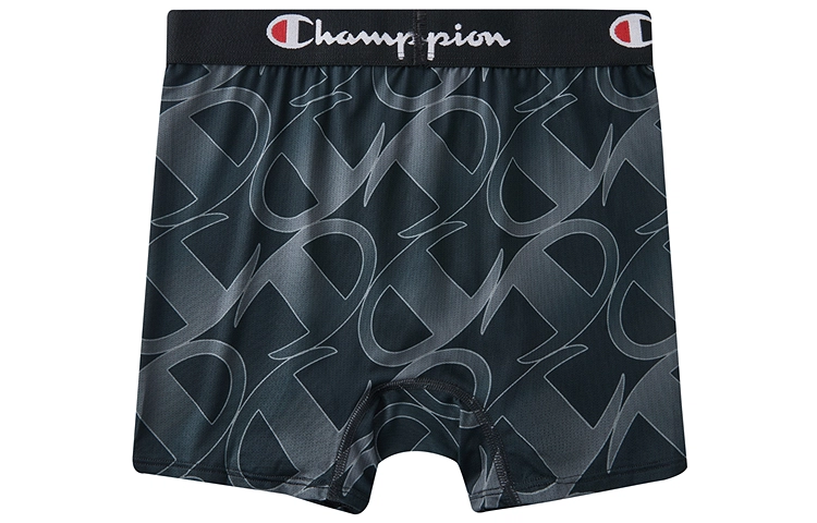 Champion FW24 Logo