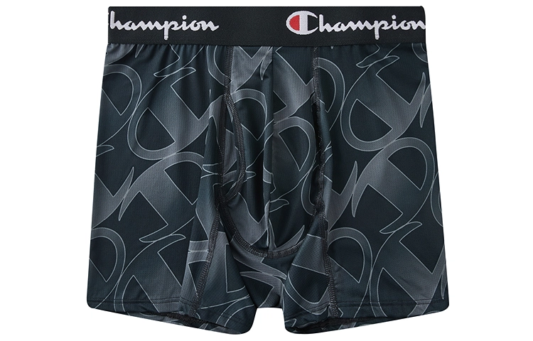 Champion FW24 Logo
