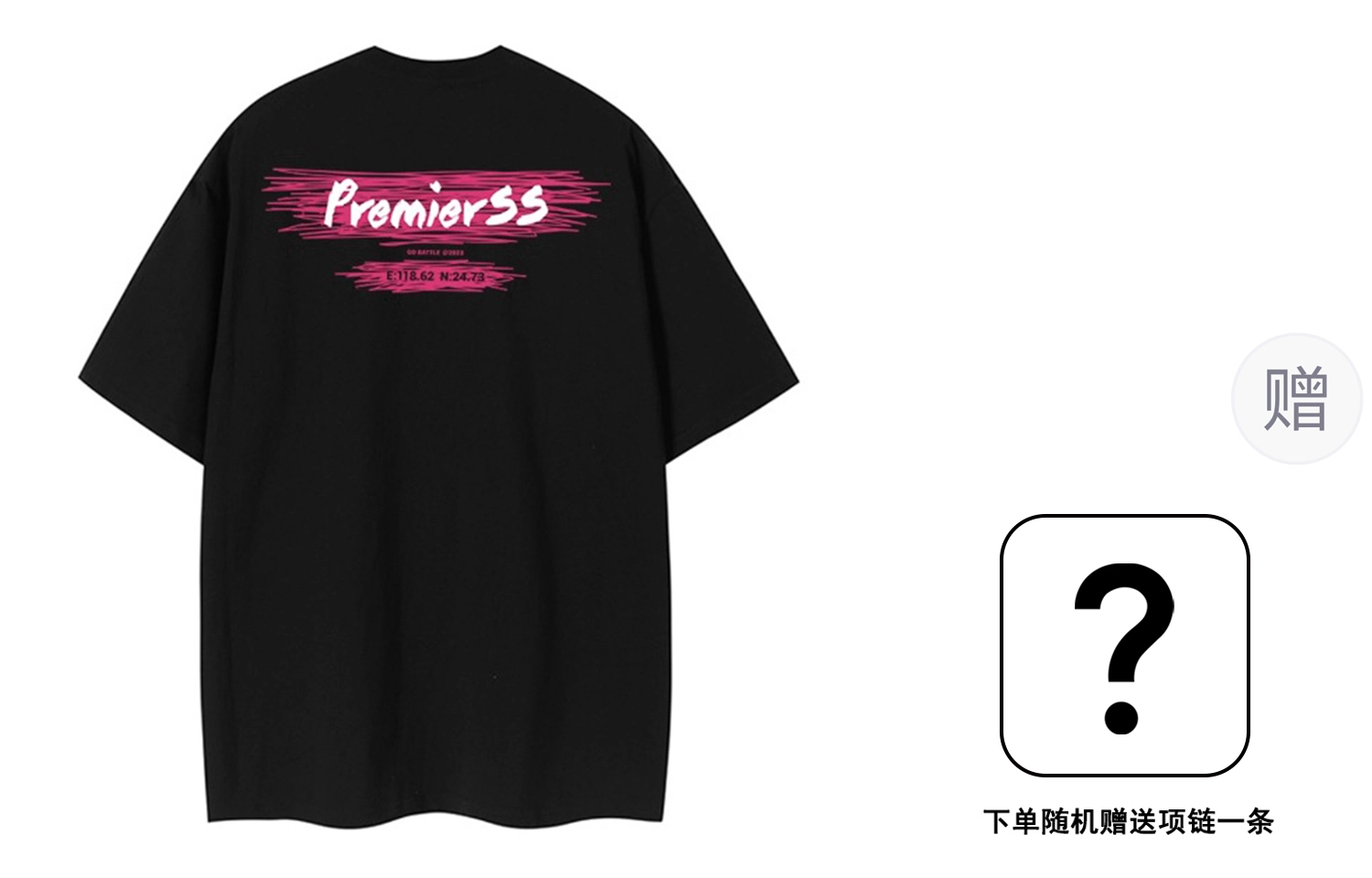 P5 LogoT
