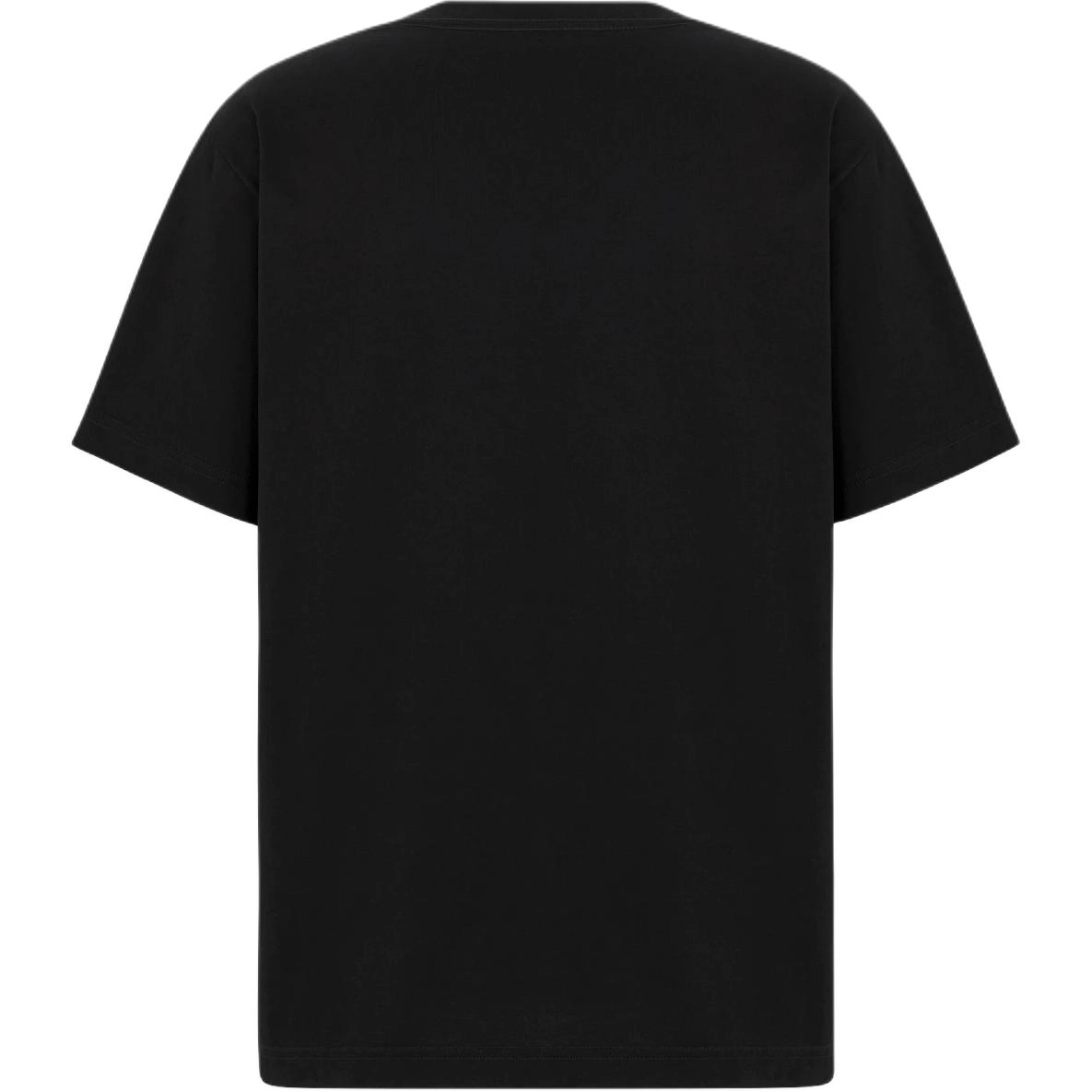 DIOR FW24 T