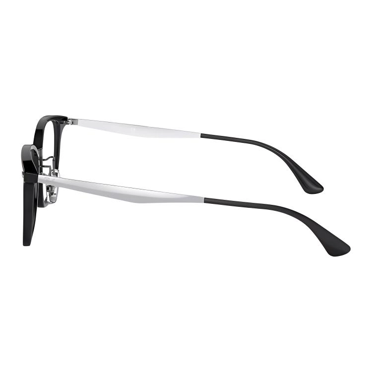 RayBan