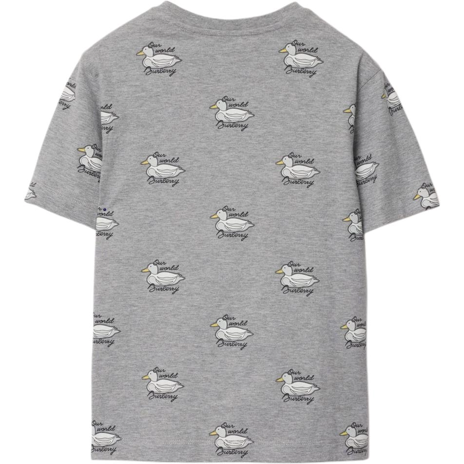 Burberry FW24 T