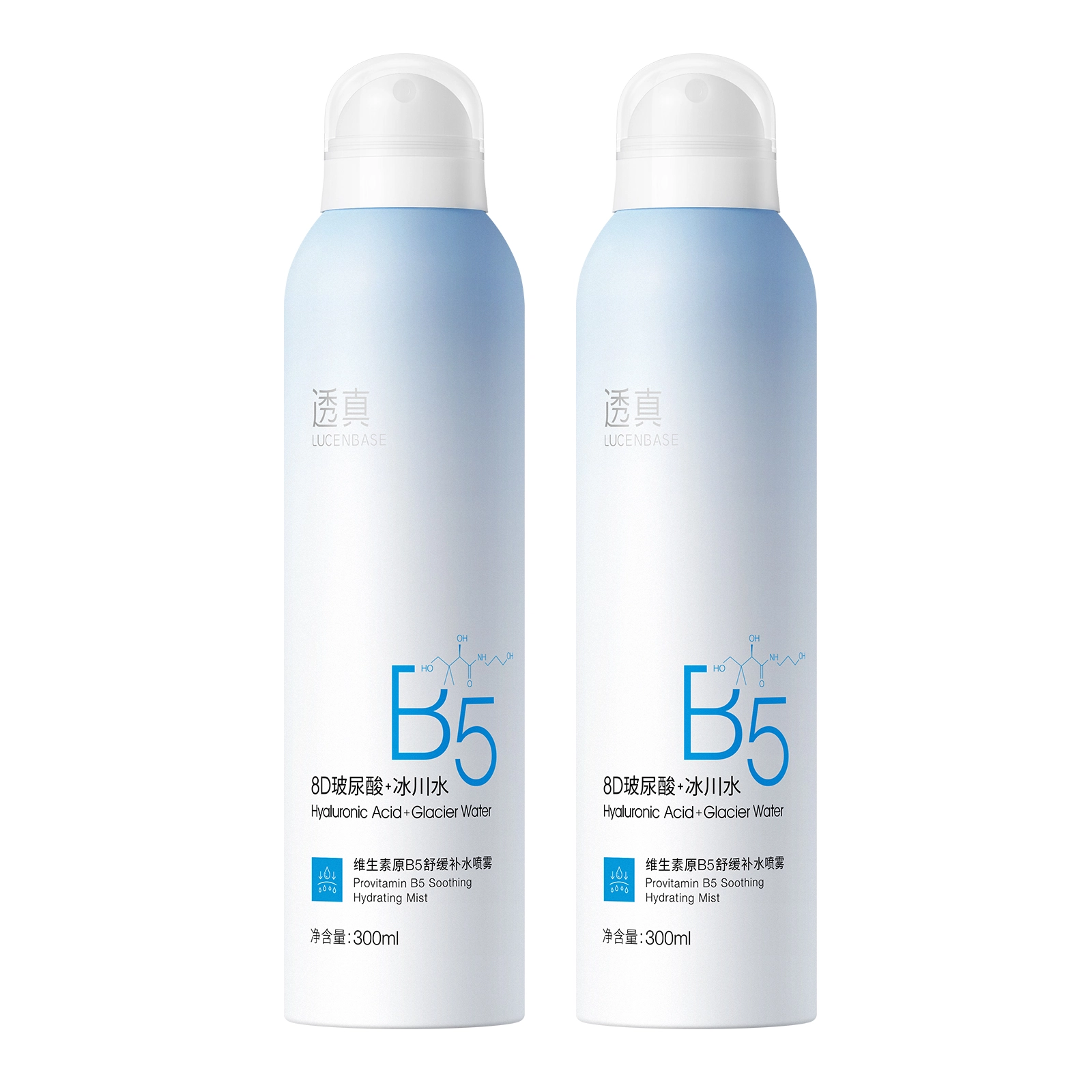 B5