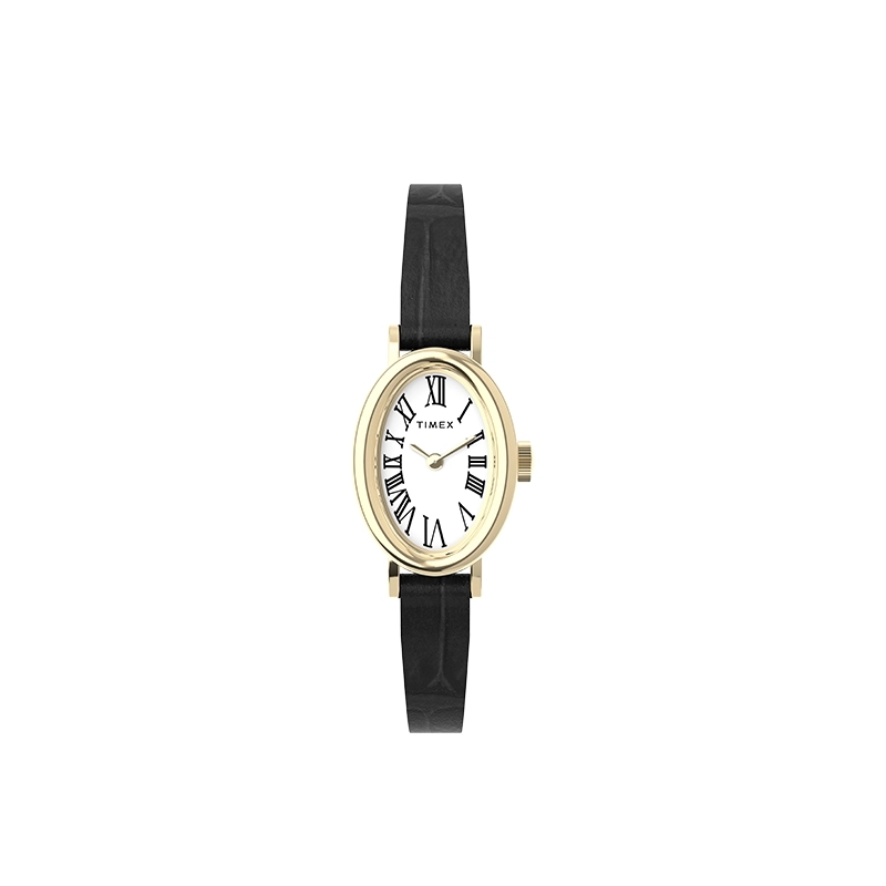 TIMEXCAVATINA 19mm TW2W78400
