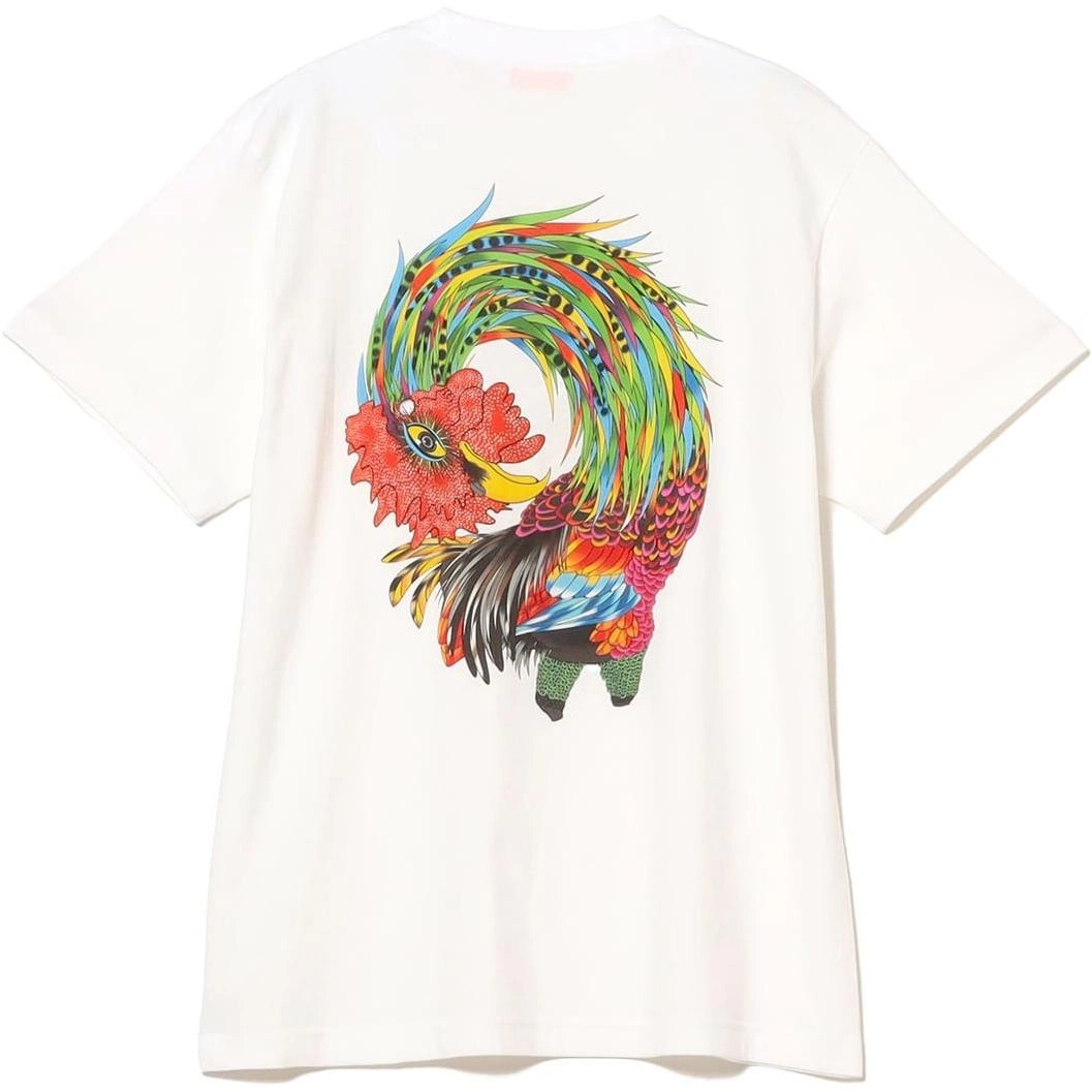 beams T