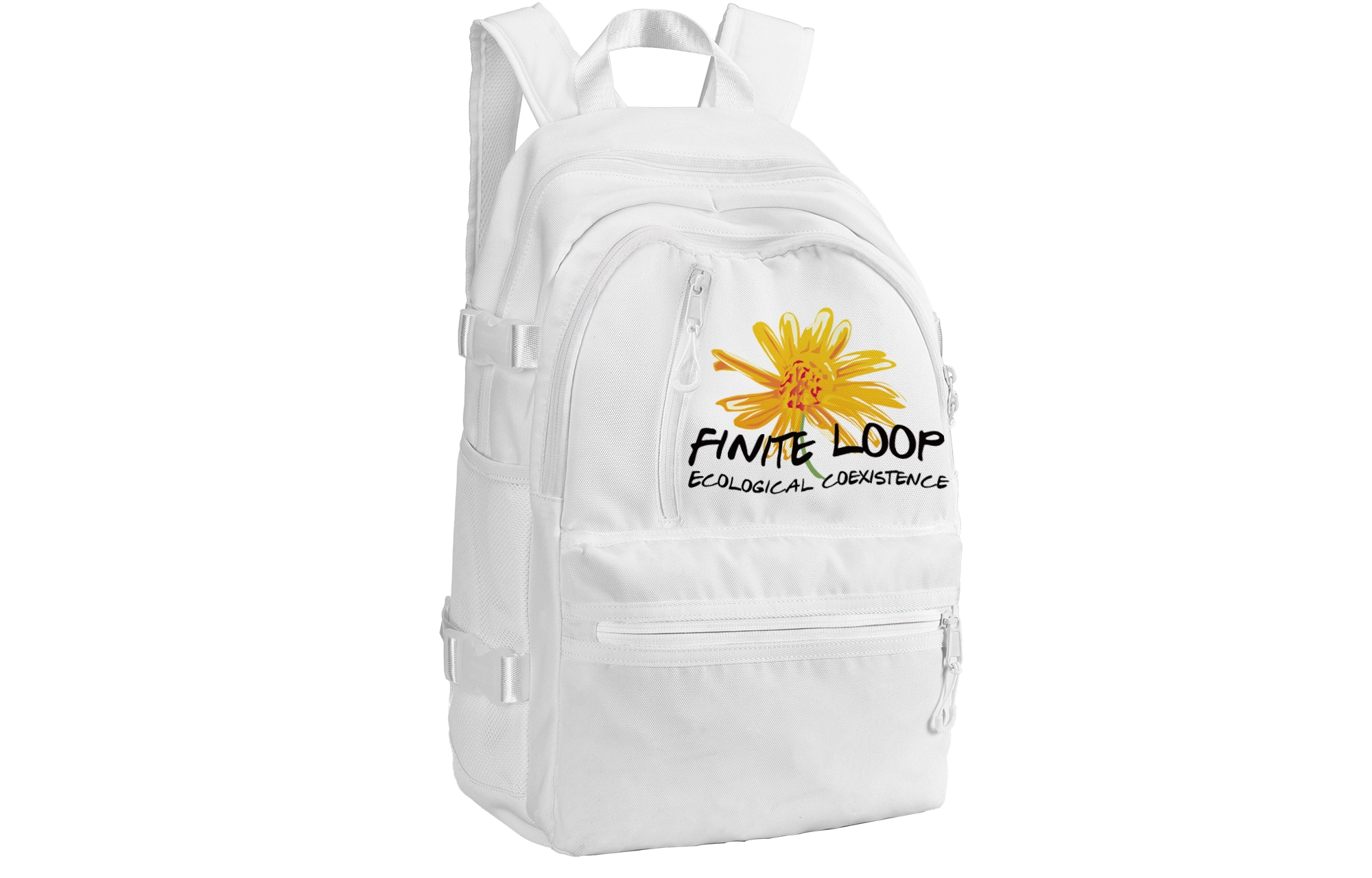 FINITE LOOP