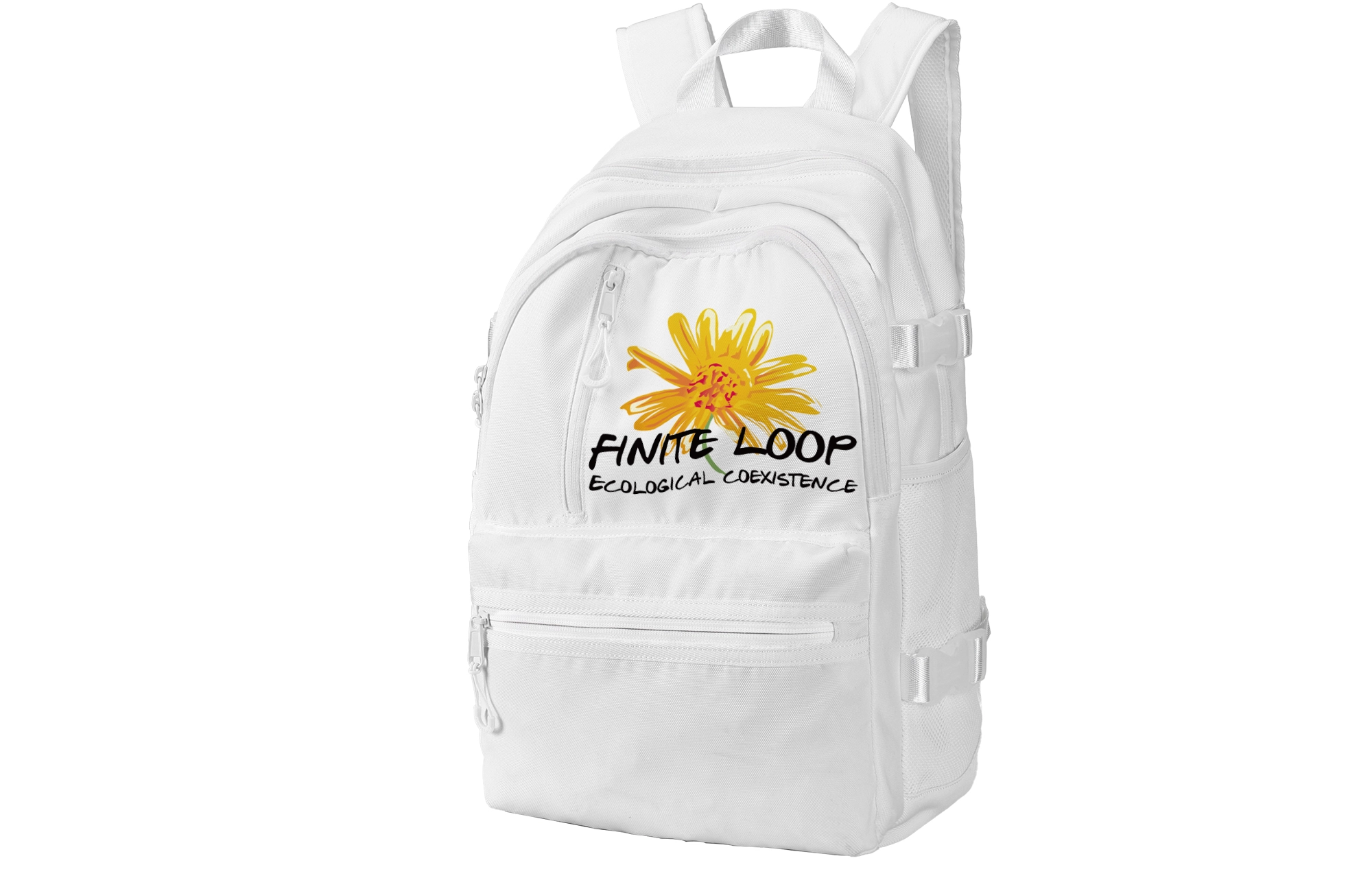 FINITE LOOP