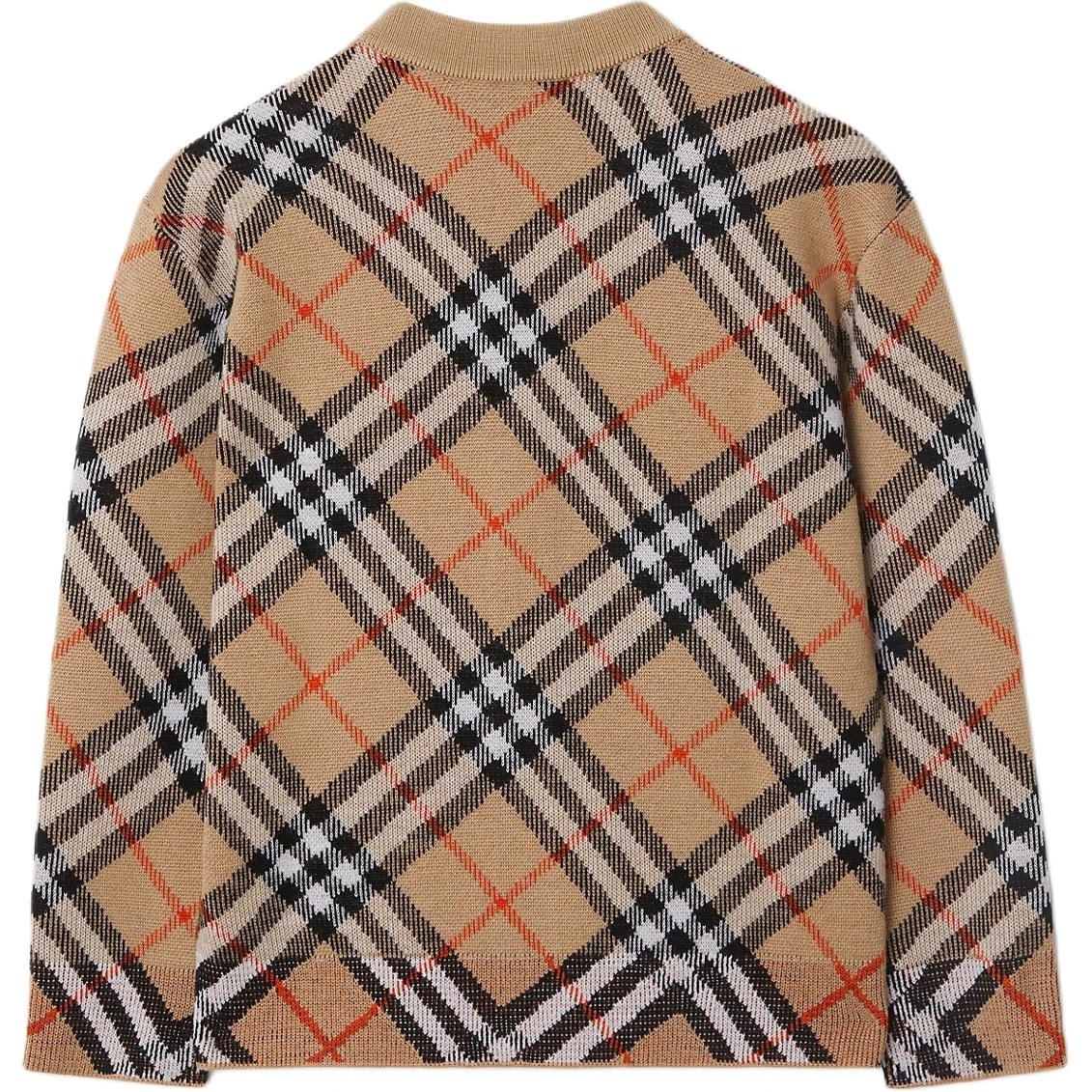 BurberryFW24 V