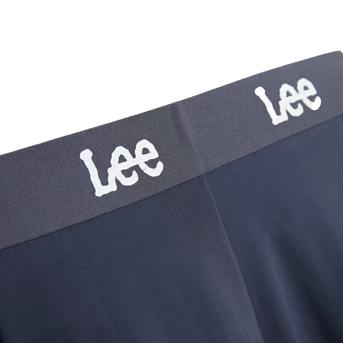 Lee 2