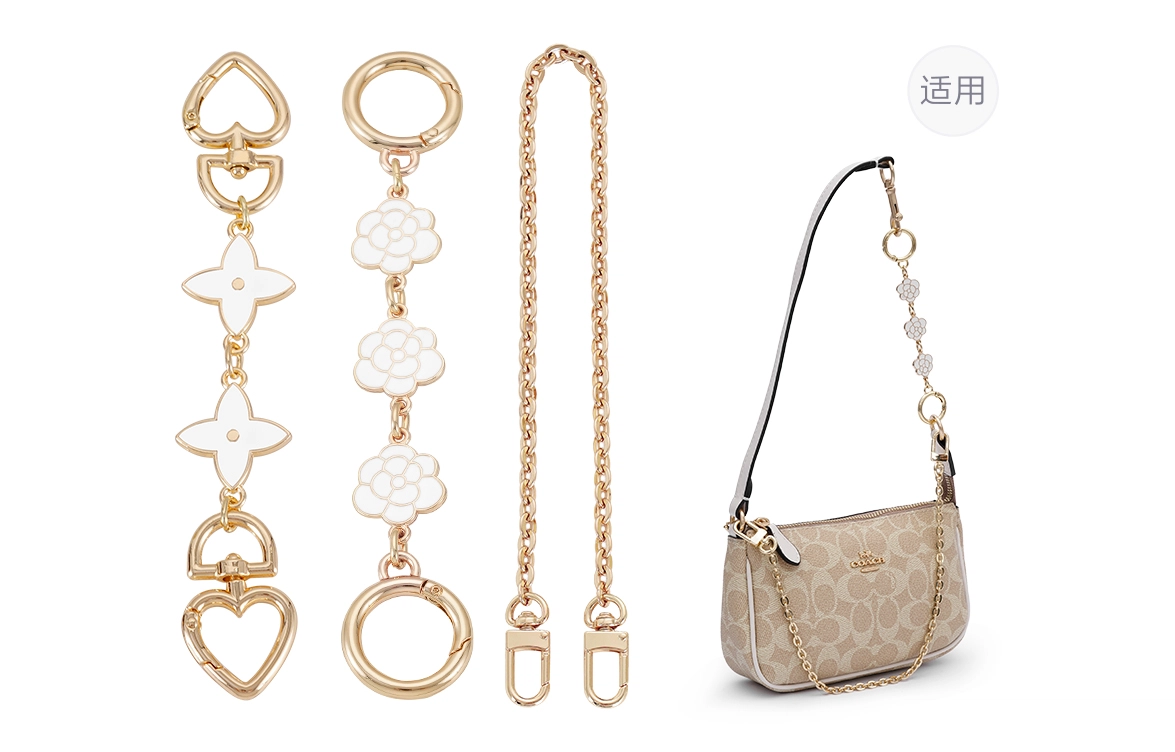 COACHnolita19diy